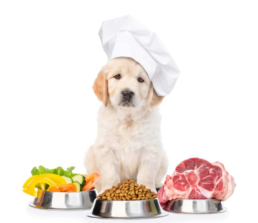 Featured Box Image
