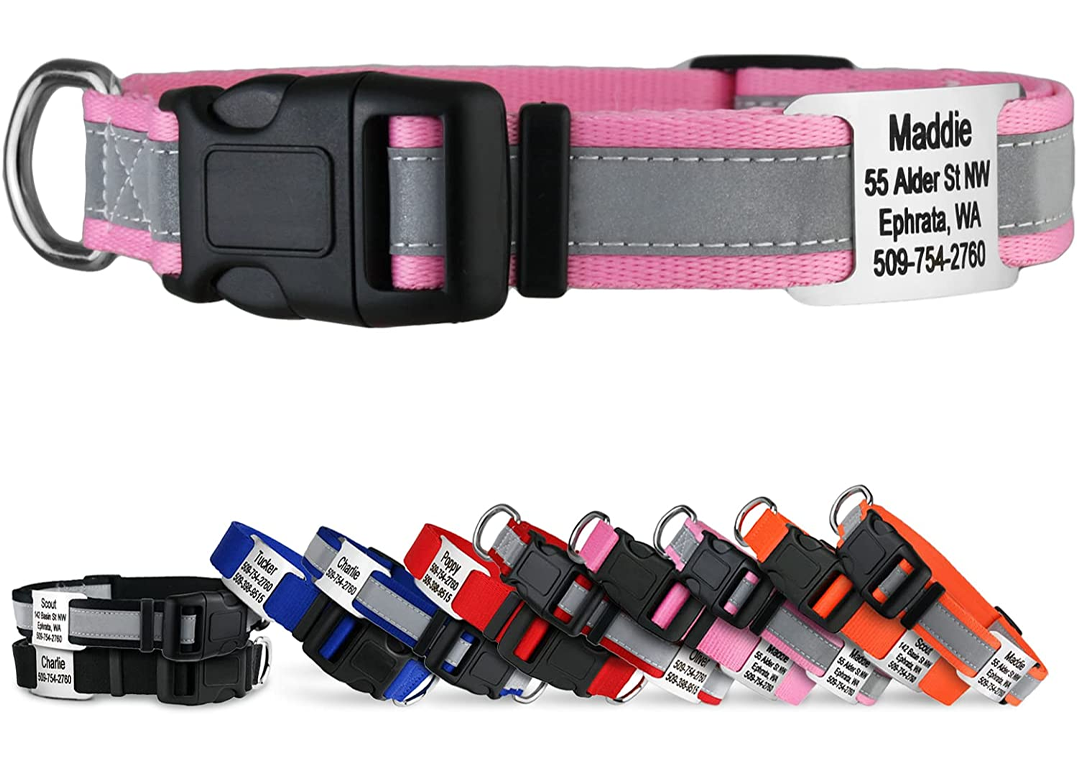 Adjustable Dog Collar
