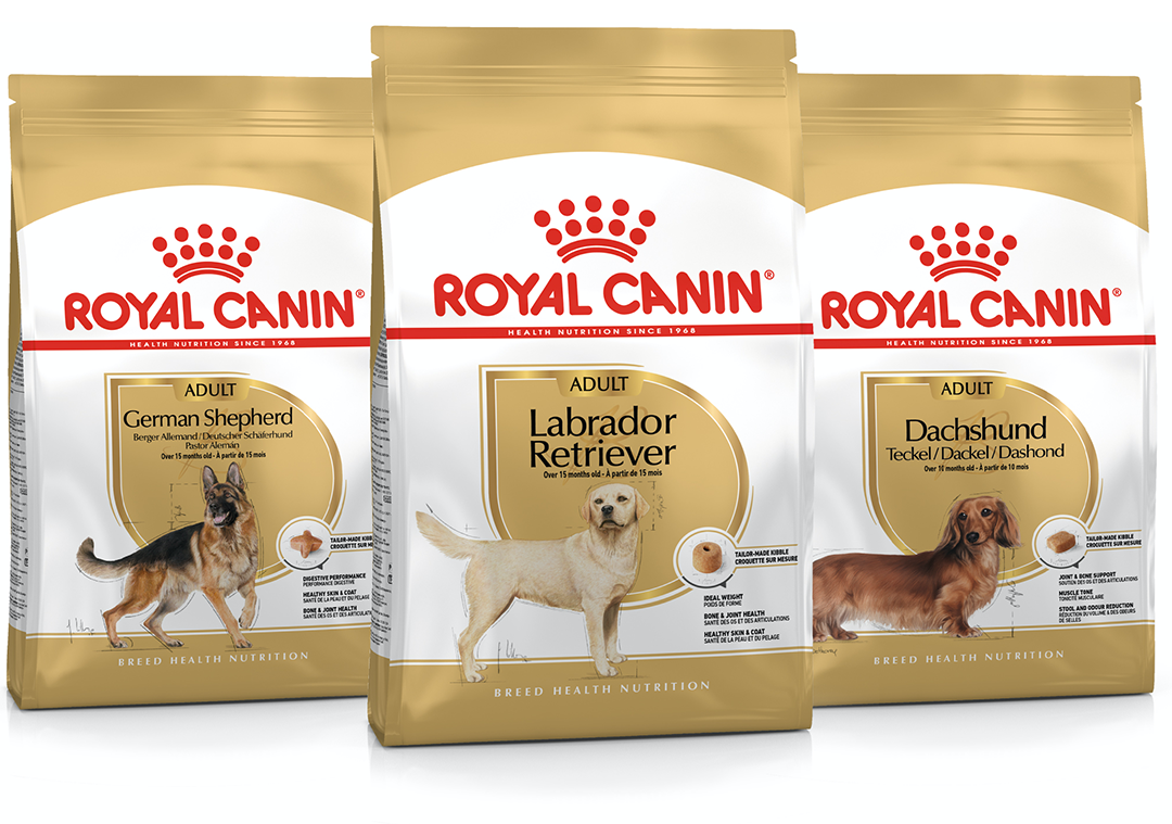 Royal Canin Dry Dog Food