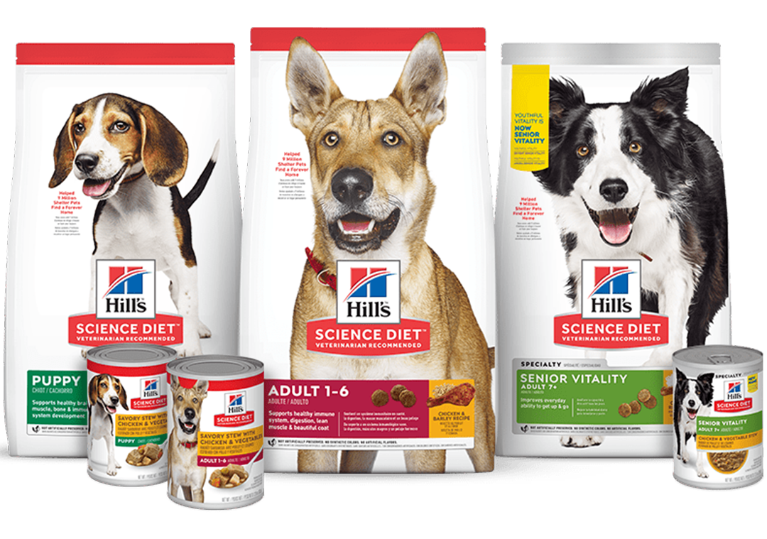 Hill's Science Diet Dry Dog Food