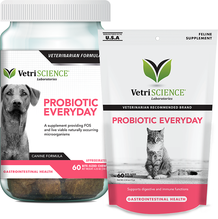 VetriScience Laboratories Probiotic Everyday Gastrointestinal Health Bite-Sized Dog Chews