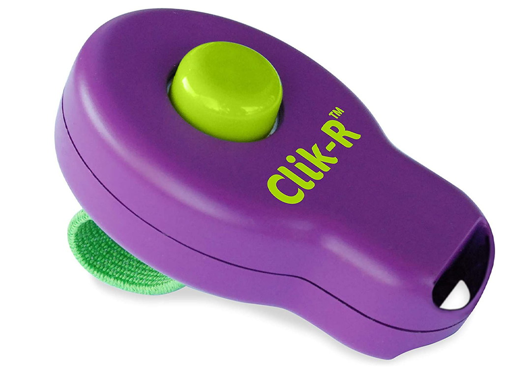 Clicker Training for Dogs