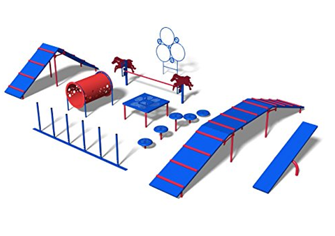 Agility Training Set